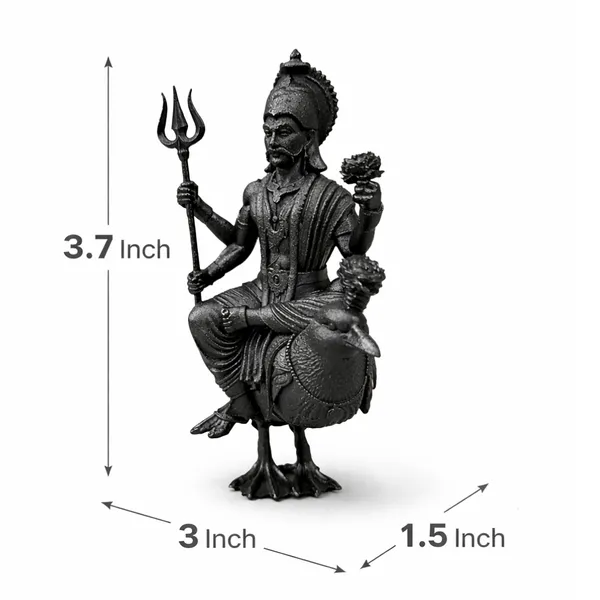 Black_Shani_Dev_Resin_Crow_Mount_Idol_For_Home_Decor