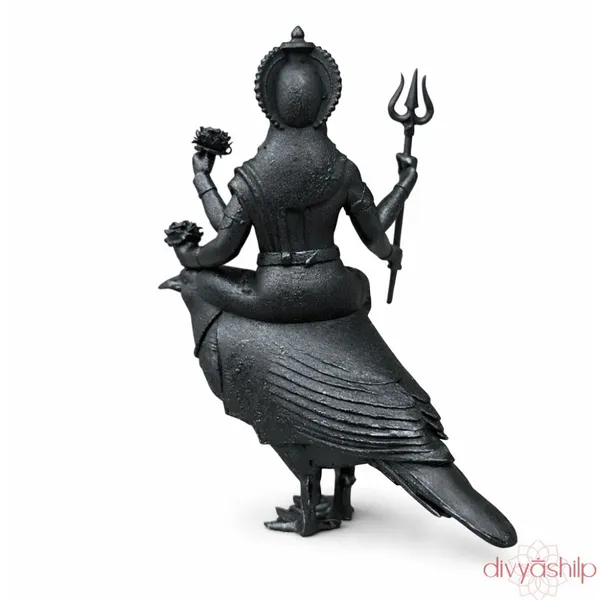 Shree_Shani_Dev_Ji_Resin_3_5_Inch
