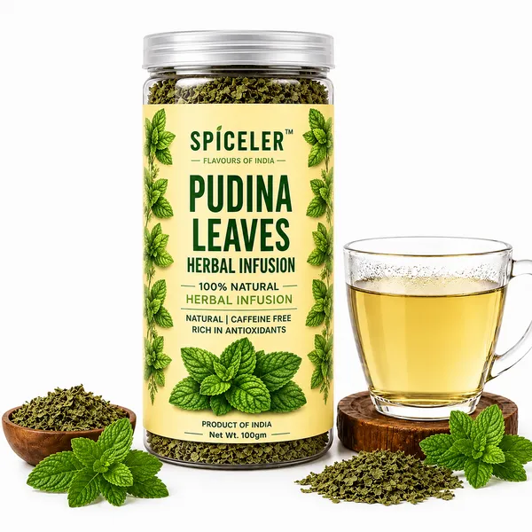 Pudina_Mint_Leaves_Herbal_Infusion_100gm