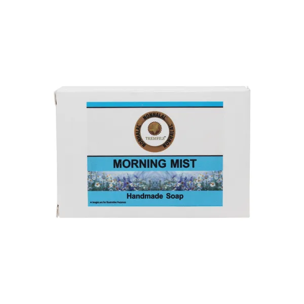 Morning_Mist_Aloe_Vera_Honey_Neem_Oil_Handmade_Ayurvedic_Soap_100G_-_Pack_Of_3