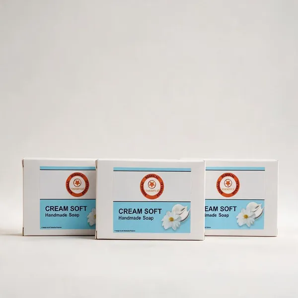 Cream_Soft_Aloe_Vera_Honey_Handmade_Ayurvedic_Soap_100Gm_-_Pack_Of_3