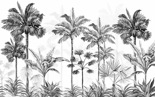 Tropical_Wallpaper_Black_And_White_Forest