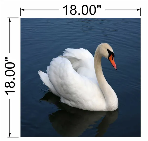 White_Flamingo_Wall_Art