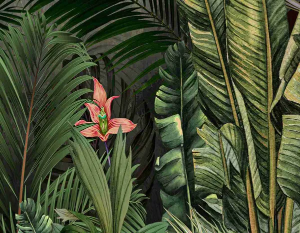 Tropical_Forest_New_Customized_Wallpaper