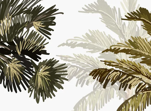 Tall_Palm_Tree_Wallpaper