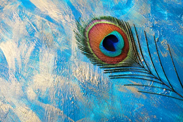 Feather_Customized_Wallpaper