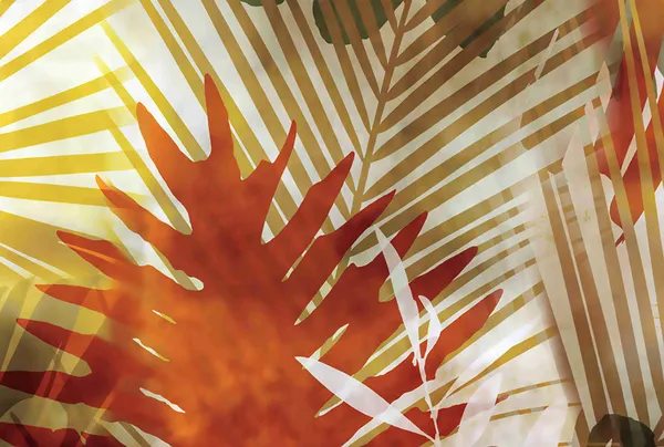 Colorfull_Tropical_Leave_Wallpaper