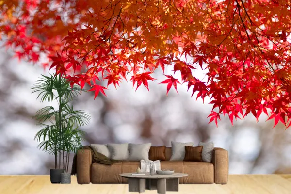 Red_Leaves_Tree_Wallpaper