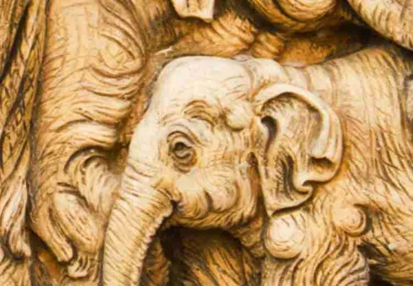 Elephant_Family_3_Mural_Wallpaper