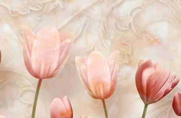 Tulip_Flower_Customized_Wallpaper