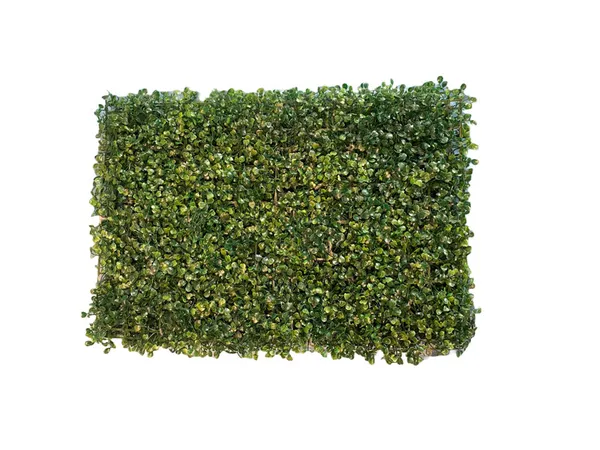 Arificial_Vertical_Gardening
