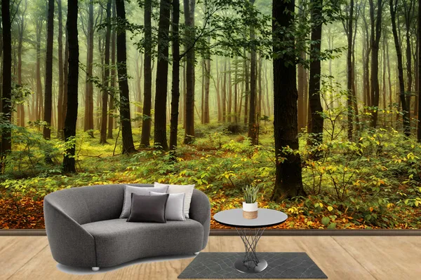 1_Forest_Collection