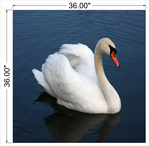 White_Flamingo_Wall_Art
