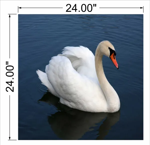 White_Flamingo_Wall_Art
