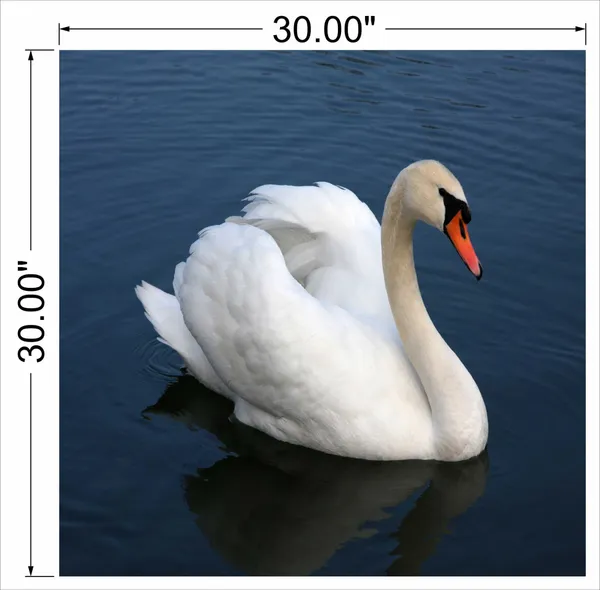 White_Flamingo_Wall_Art