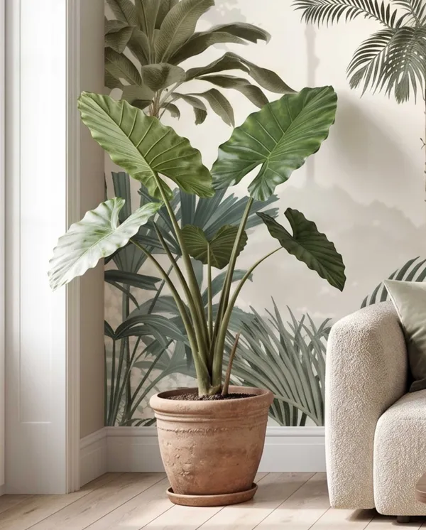 The_Verdant_Shore_Tropical