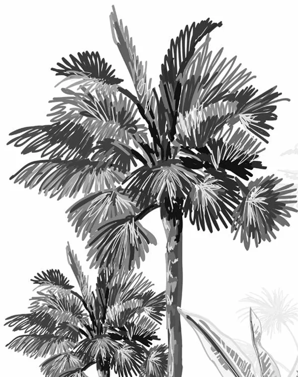 A_Black_And_White_Palm_Tree_Pattern_With_A_White