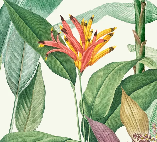 1_Golden_Hour_Tropical
