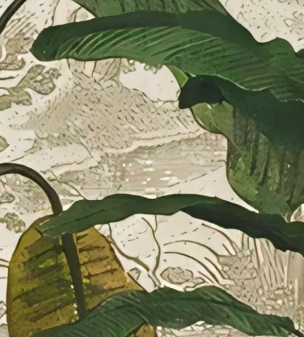 1_Hazy_Meridian_Tropical