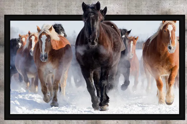 3d_Horse_Customized_Wallpaper