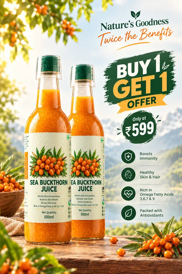 Buy_1_Get_1_Free_Sea_Buckthorn_Juice_500ml_+_500ml_|_Omega_3_6_7_9_Rich_Superfruit_|_High_Vitamin_C_|_Immunity_Booster_|_Skin_&_Hair_Health_Drink
