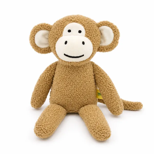 Baby_Monkey