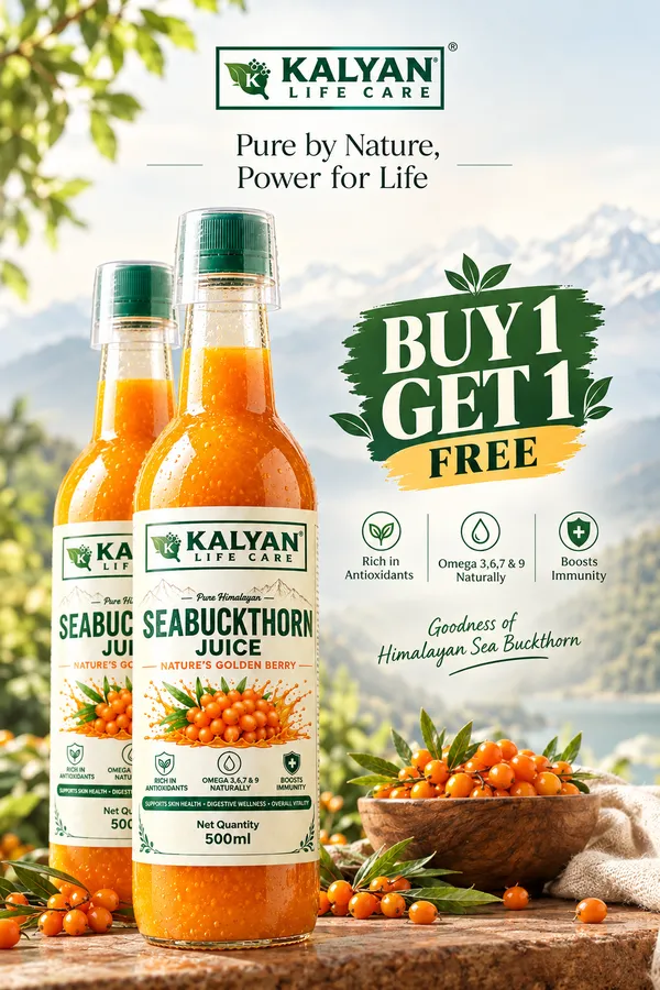 Buy_1_Get_1_Free_Sea_Buckthorn_Juice_500ml_+_500ml_|_Omega_3_6_7_9_Rich_Superfruit_|_High_Vitamin_C_|_Immunity_Booster_|_Skin_&_Hair_Health_Drink