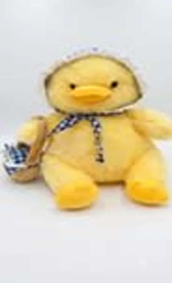 Duck_Plush_Toy