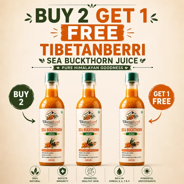 Buy_2_Get_1_Free_Sea_Buckthorn_Juice_500ml_+_500ml_Omega_3_6_7_9_Rich_Superfruit_High_Vitamin_C_Immunity_Booster_Skin_&_Hair_Health_Drink