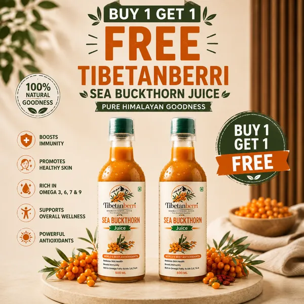 Buy_1_Get_1_Free_Sea_Buckthorn_Juice_500ml_+_500ml_Omega_3_6_7_9_Rich_Superfruit_High_Vitamin_C_Immunity_Booster_Skin_&_Hair_Health_Drink