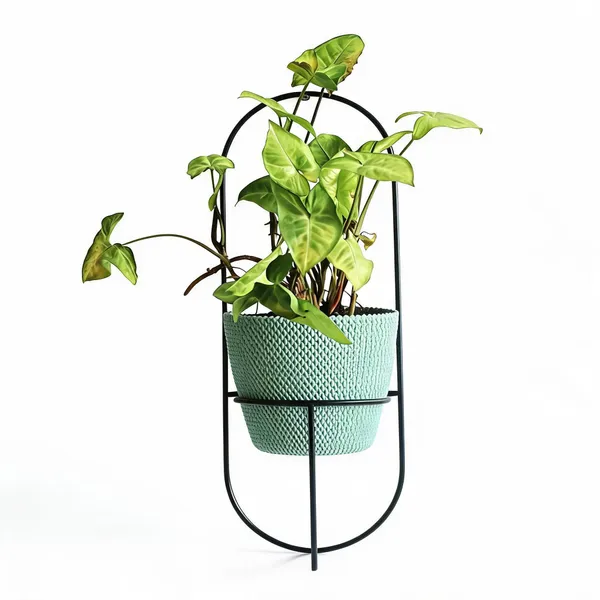 Black_Metal_Wall-Mounted_Two-Tier_Planter_Stand_For_Balcony,_Garden_Wall,_Indoor_Plants_And_Vertical_Gardening