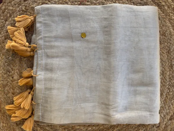 Raga_Ivory_Gini_Sequins_Mul_Tissue_Saree