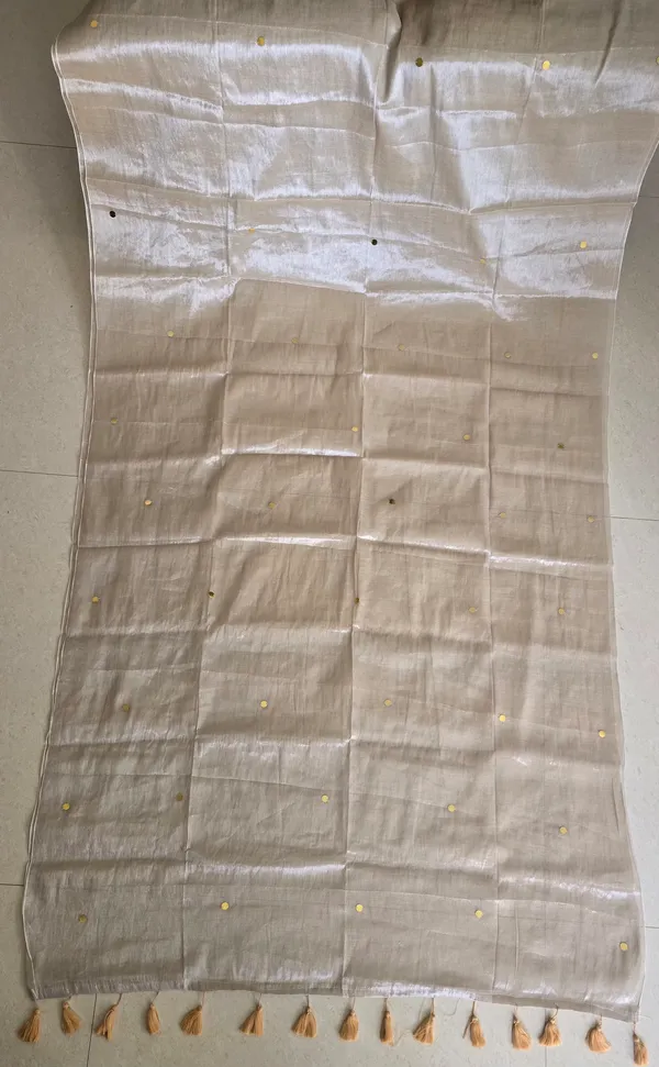Raga_Ivory_Gini_Sequins_Mul_Tissue_Saree