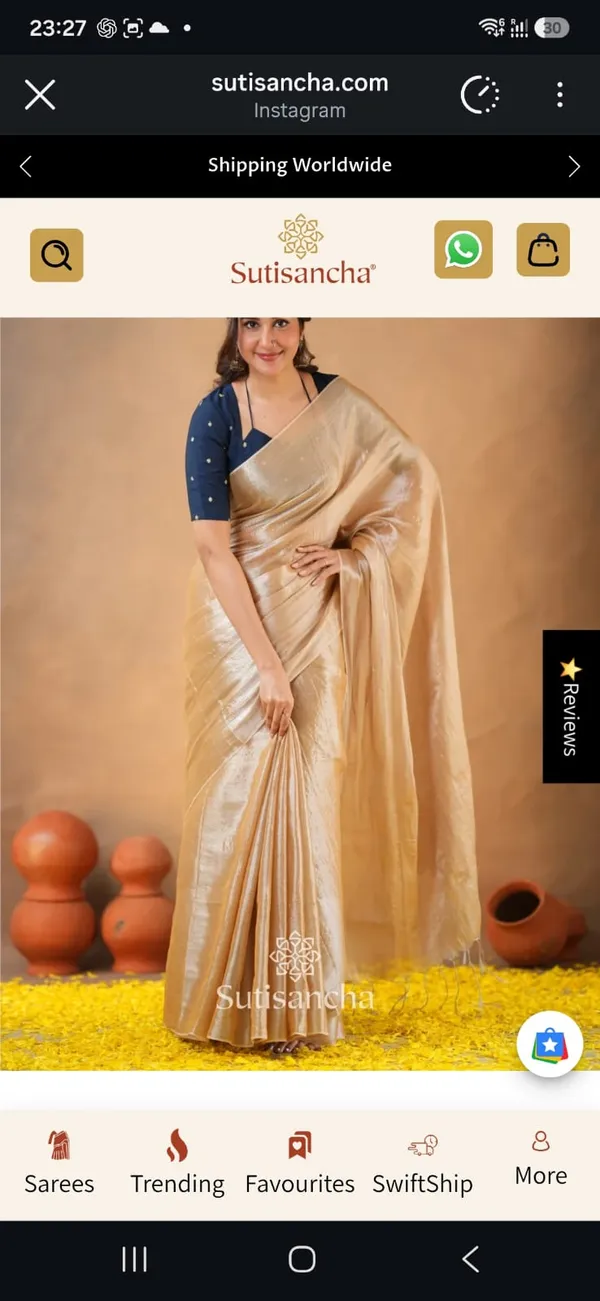Raga_Ivory_Gini_Sequins_Mul_Tissue_Saree