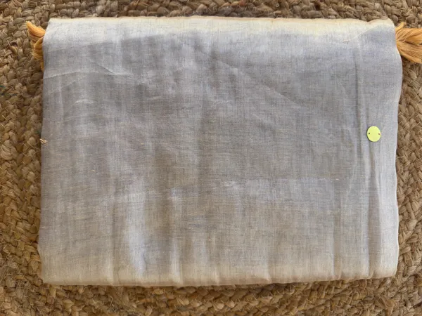 Raga_Ivory_Gini_Sequins_Mul_Tissue_Saree