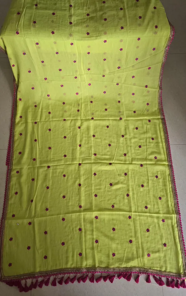 Neon_Green_With_Pink_Lace_And_Flower_Embroidered_Mul_Saree