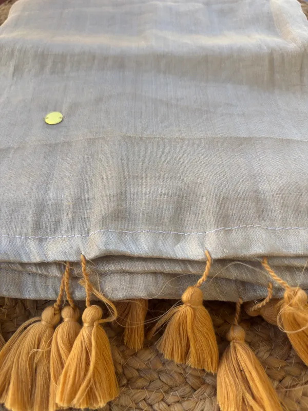 Raga_Ivory_Gini_Sequins_Mul_Tissue_Saree