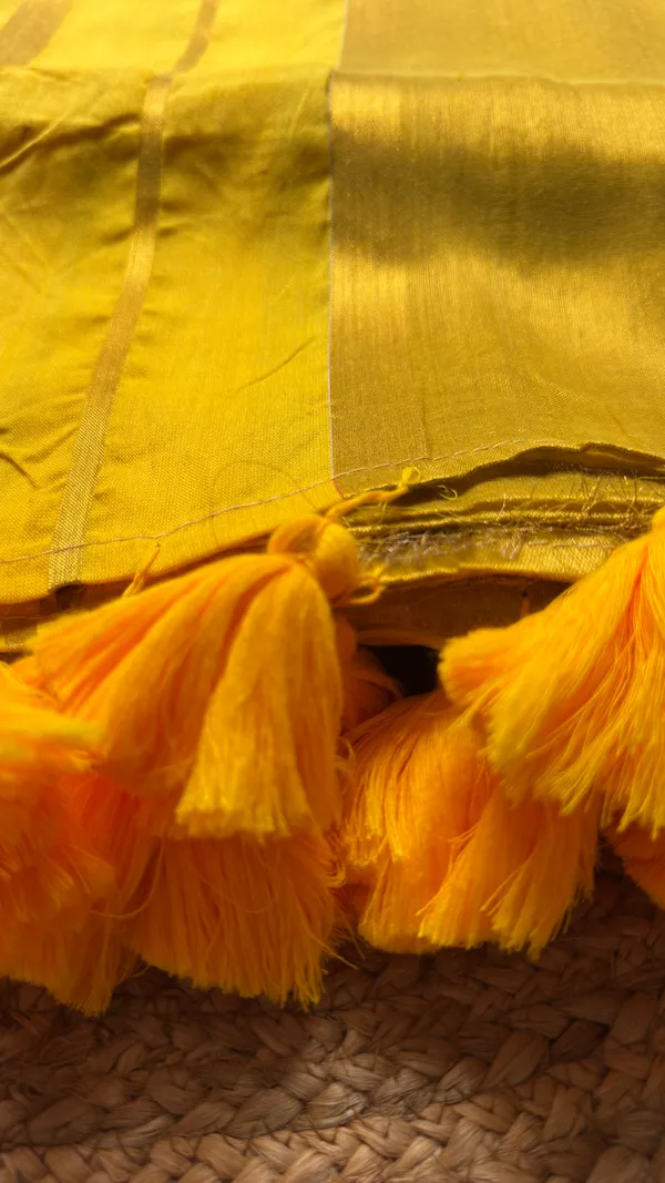 Raga_Yellow_Gap_border_Mul_Tissue_Saree