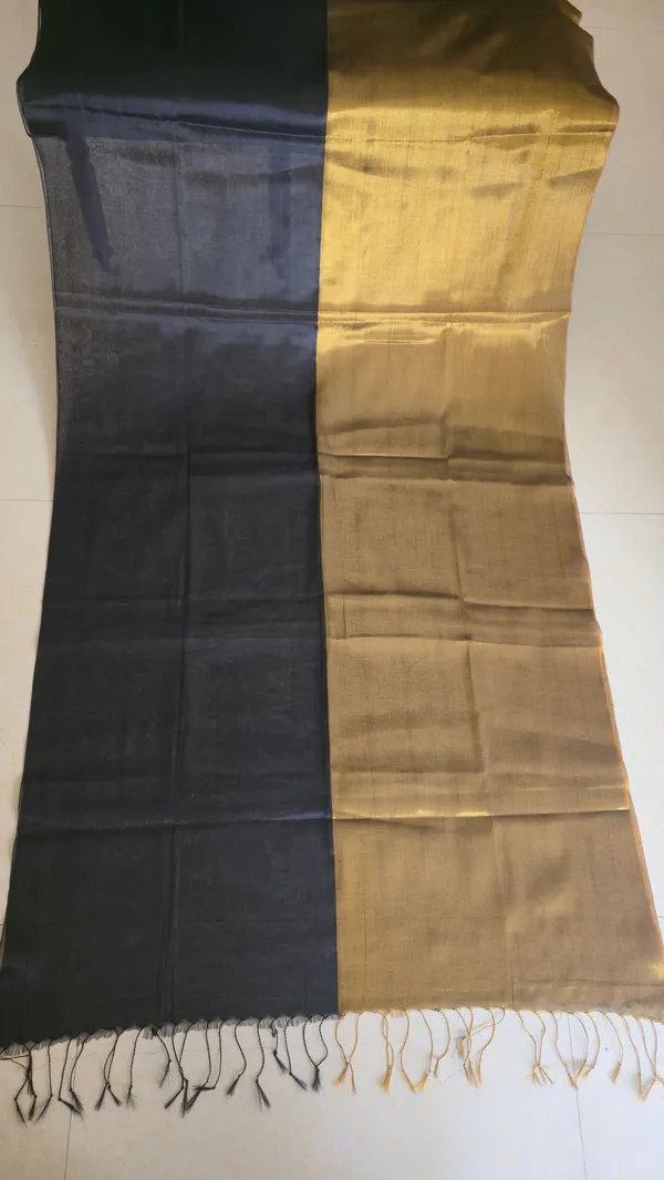 Black_And_Gold_Half_And_Half_Mul_Tissue_Saree