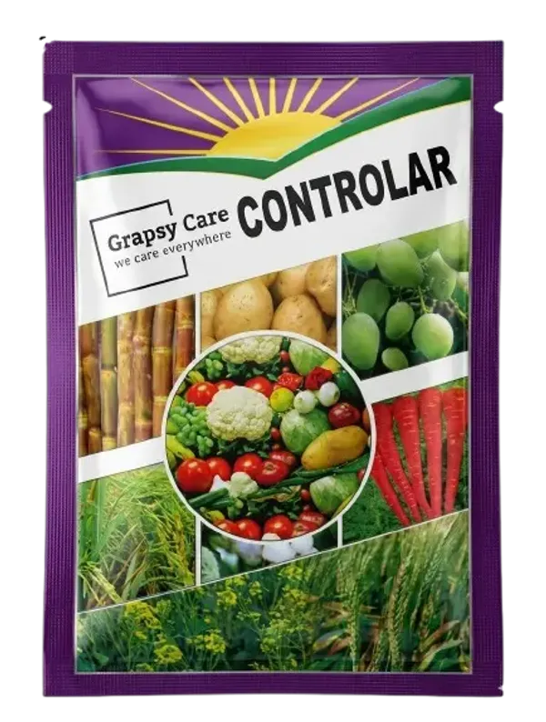 Controler
