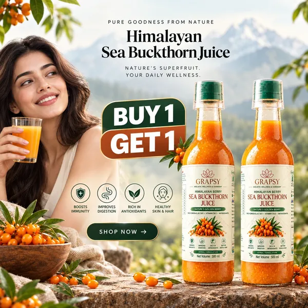 Buy_1_Get_1_Free_Sea_Buckthorn_Juice_500ml_+_500ml_|_Omega_3_6_7_9_Rich_Superfruit_|_High_Vitamin_C_|_Immunity_Booster_|_Skin_&_Hair_Health_Drink
