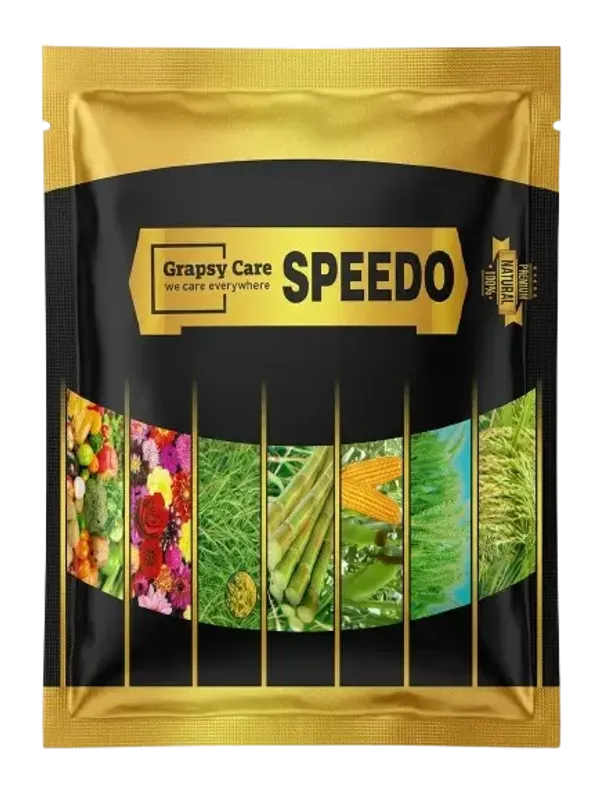 Speedo