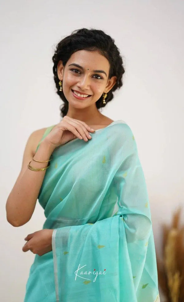 Aqua_Sheer_Draped_Saree_for_Women