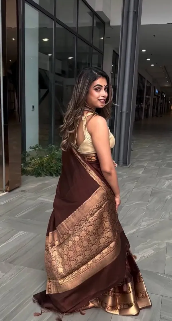 Brown_Woven_Ethnic_Saree_for_Women