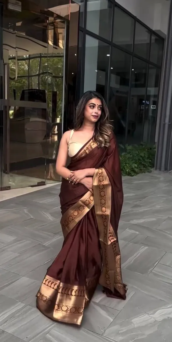 Brown_Woven_Ethnic_Saree_for_Women