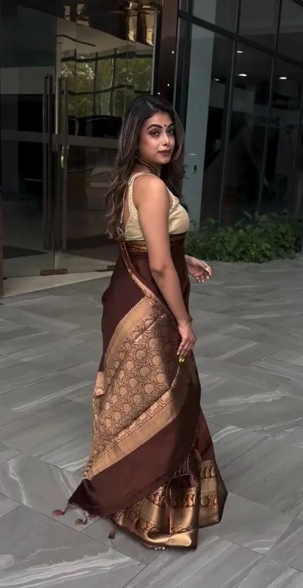 Brown_Woven_Ethnic_Saree_for_Women