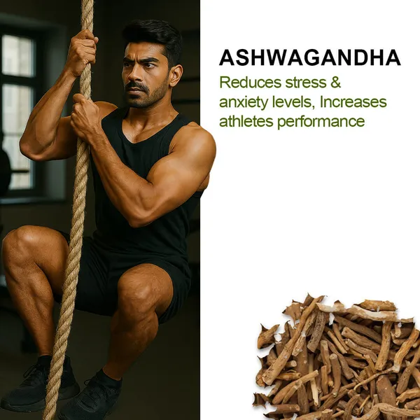 Alvista_Kesar_Shilajit_Gold_Resin_25g_Default_Title