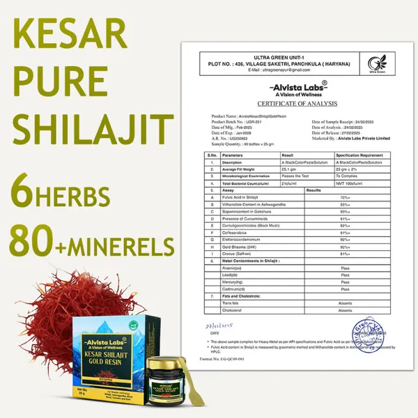 Alvista_Kesar_Shilajit_Gold_Resin_25g_Default_Title