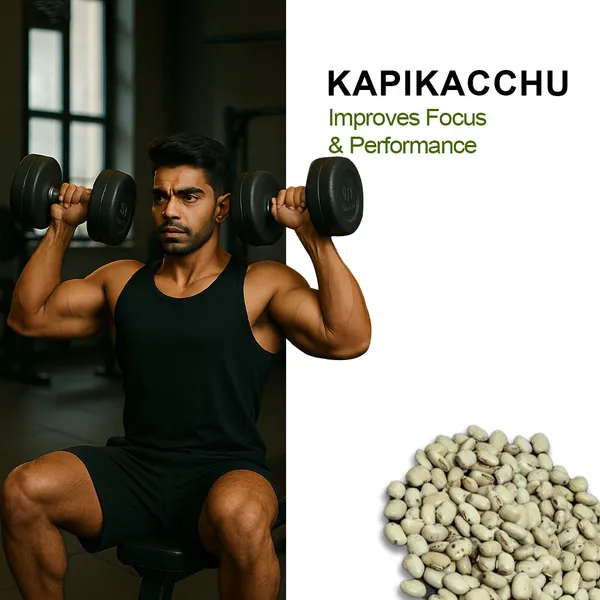 Testohulk_Shilajit_Whey_Fast_Absorb_Protein_1kg_Default_Title