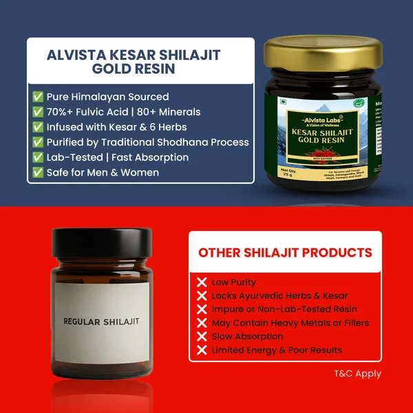 Alvista_Kesar_Shilajit_Gold_Resin_2_Shilajit_Combo